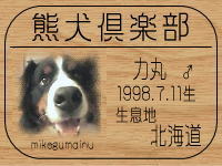 �I�[�i�[�́A�A���i����ł���